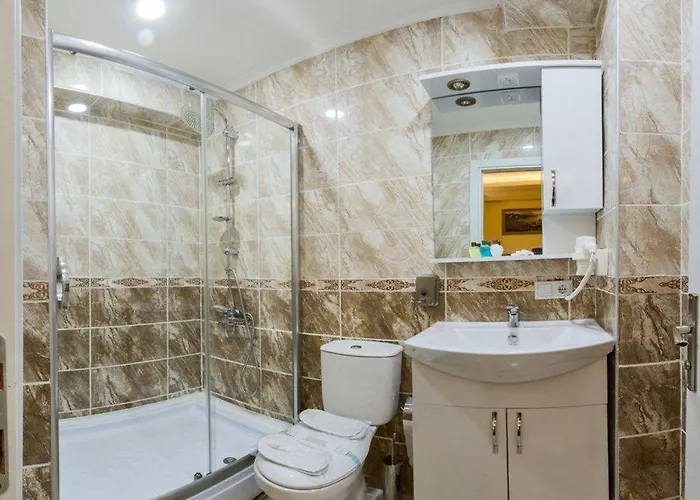 Le Premier House 2* Стамбул