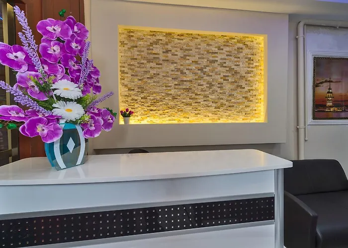 Le Premier House 2* Стамбул